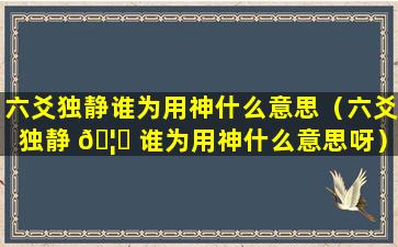 六爻独静谁为用神什么意思（六爻独静 🦉 谁为用神什么意思呀）